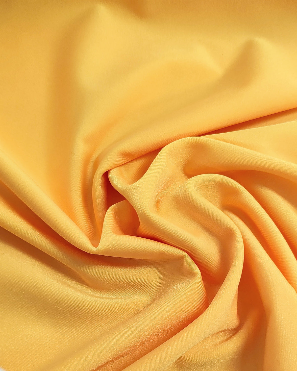 Amarillo diente de leon shiny