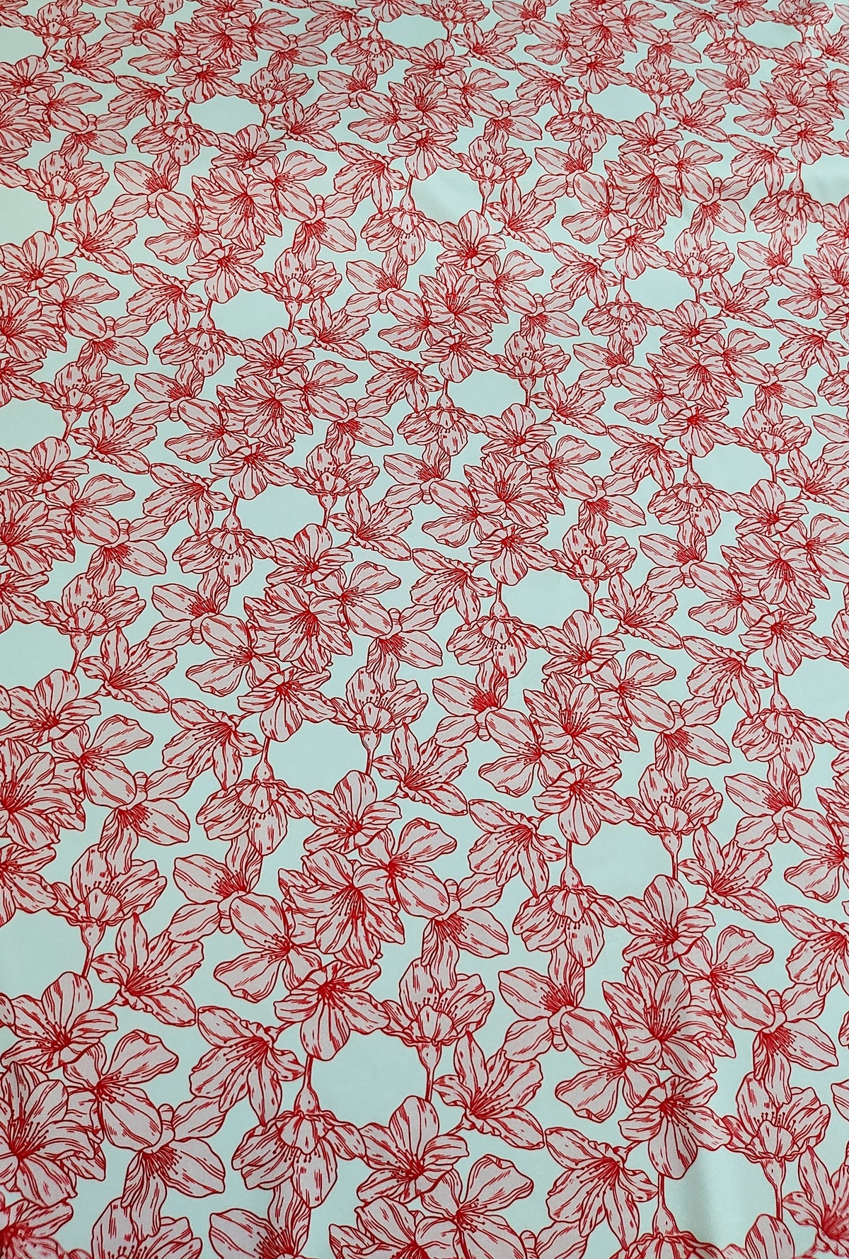 Chery blossom