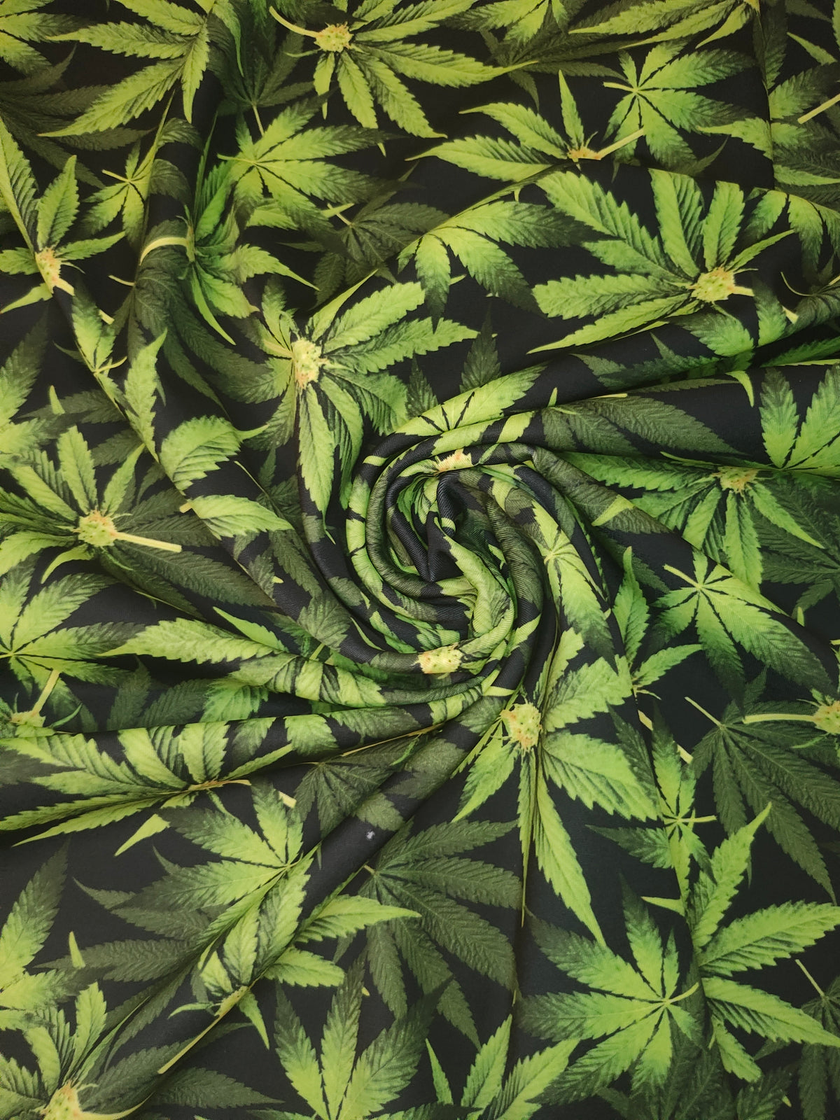 Forest Cannabis