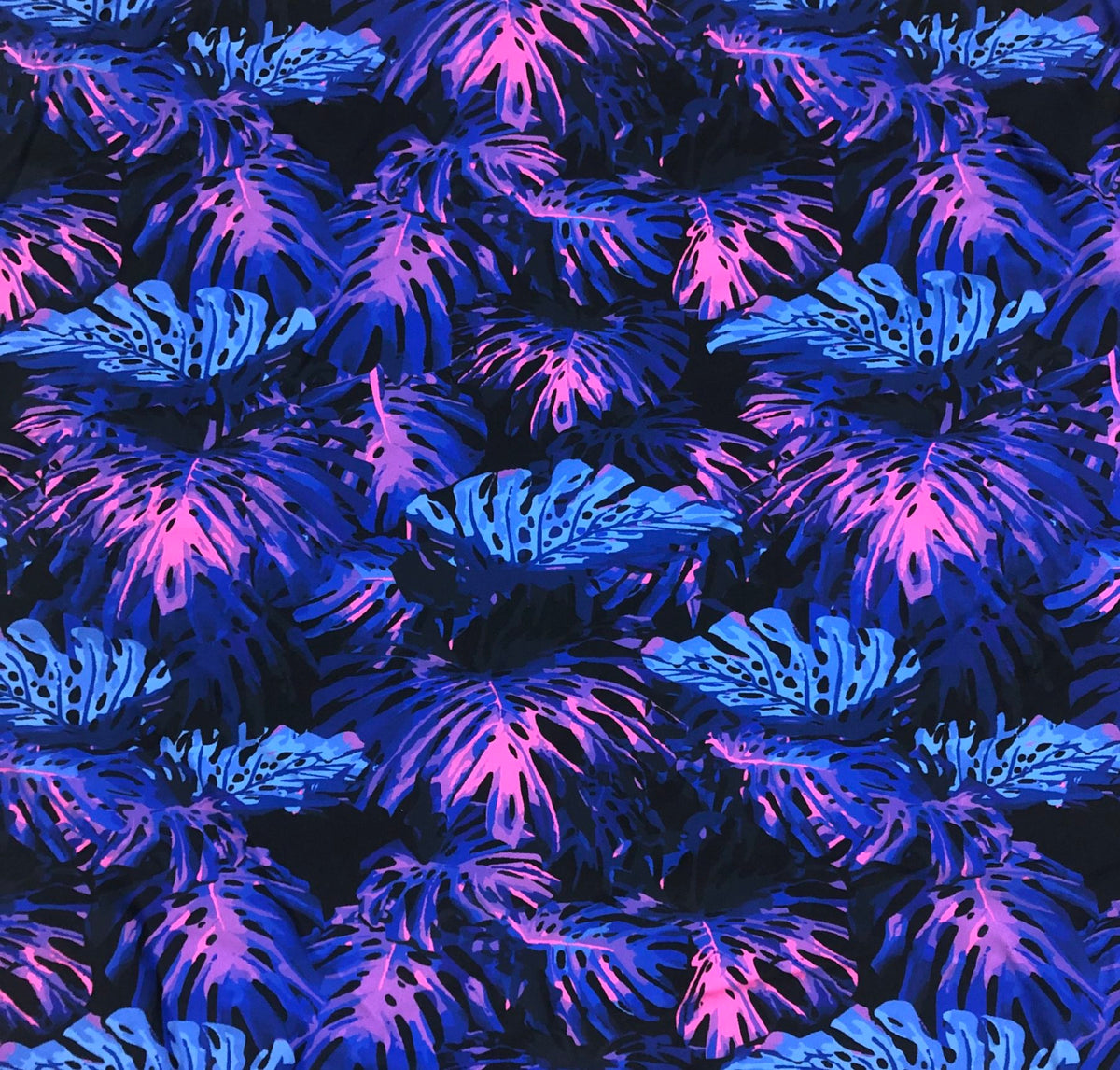 Monstera Painting