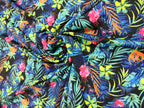 Tropical Butterflies
