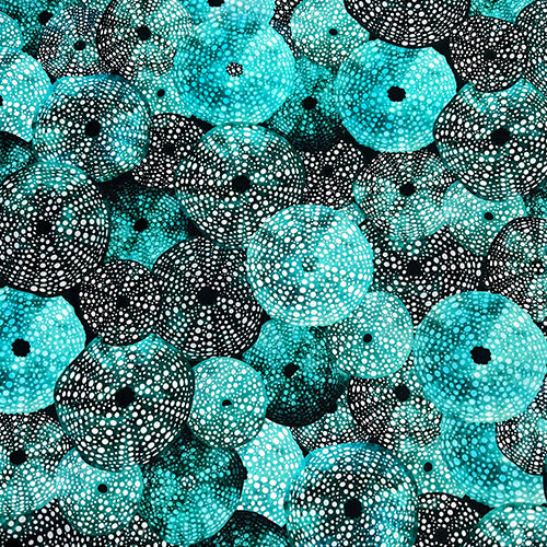Teal Urchin