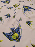 Angel Fish on white background