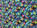 Tropical Butterflies