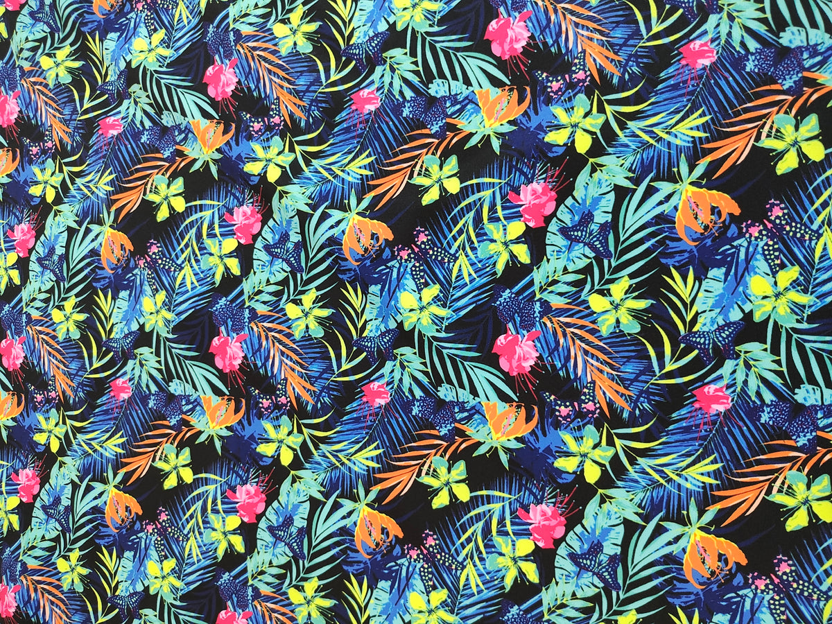 Tropical Butterflies