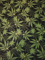 Forest Cannabis