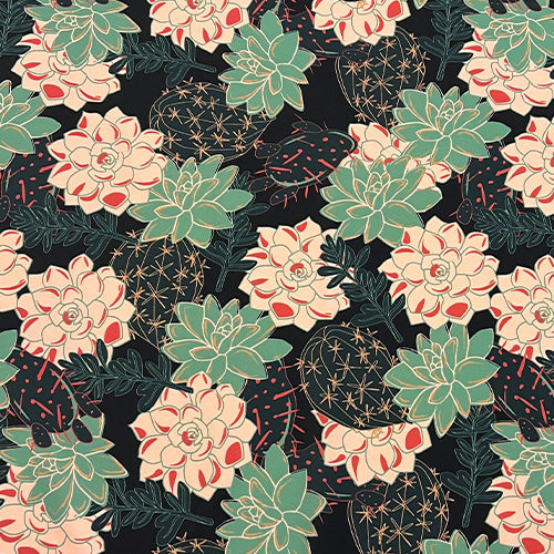 Succulent Collection